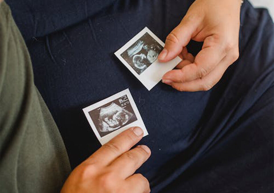 Hafta Hafta Hamilelik